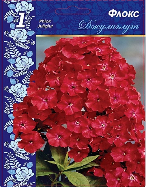 Флокс Джулиглут